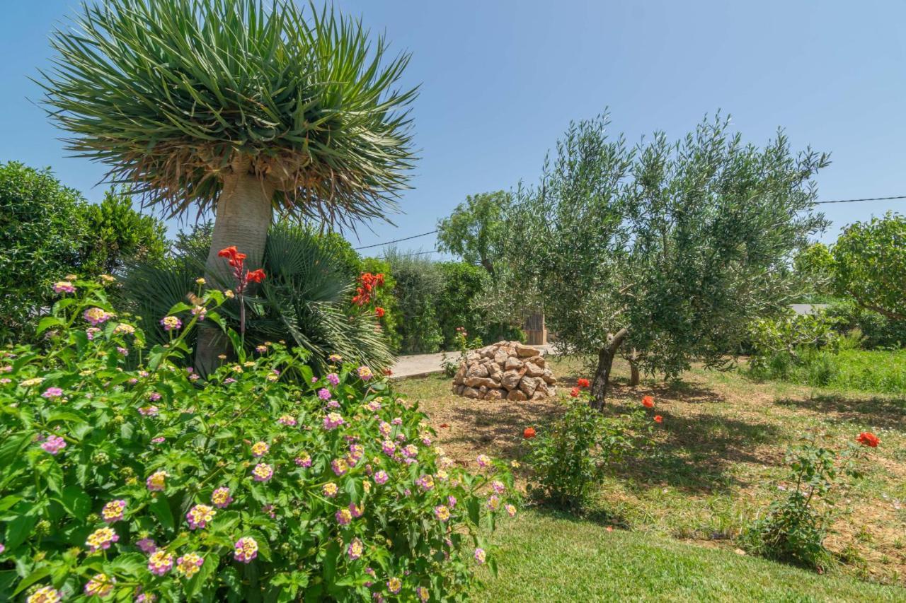 Ca'N Coll Villa Port de Pollença Ngoại thất bức ảnh